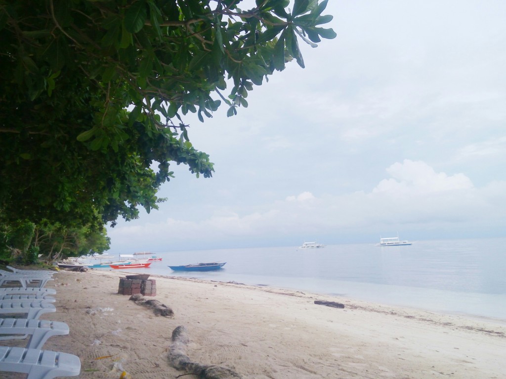 Bohol Beach panglao accommodation,where to stay, momo beach house panglao bohol