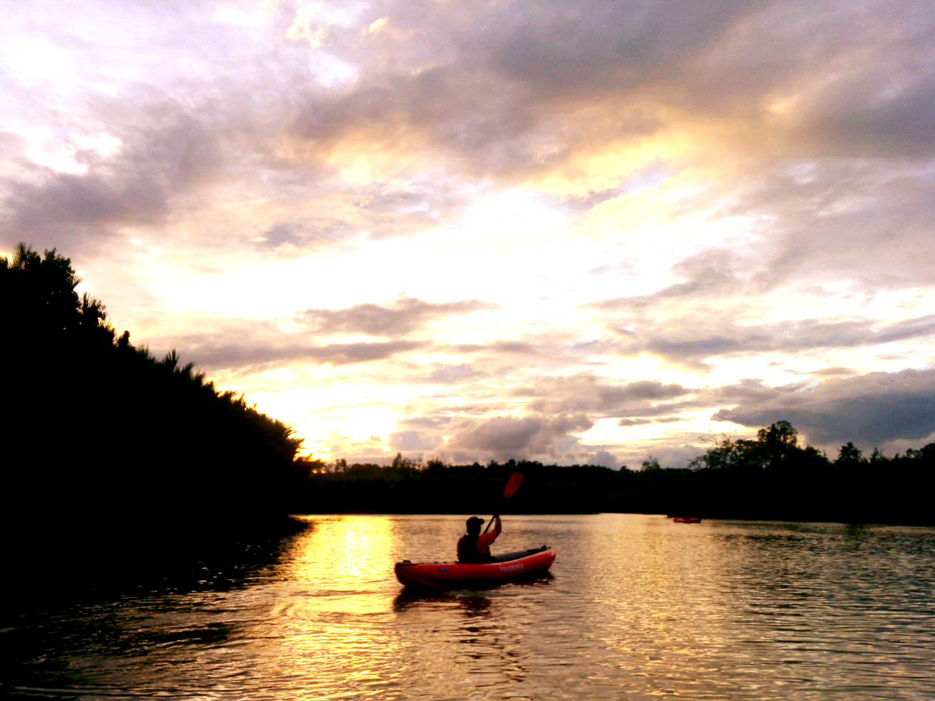 kayaking bohol, kayak adventure bohol, firefly watching bohol philippines,