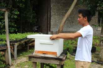 Bohol Bee Farm Tour, Bohol Philippines, bohol tours, bohol ecotourism site, places to visit in bohol, tourist site in bohol
